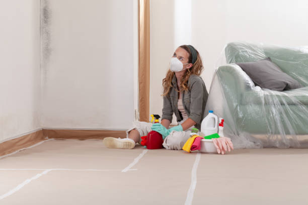 Reliable Mold Cleanup contractor in Concord, MA by Cheap Mold Removal